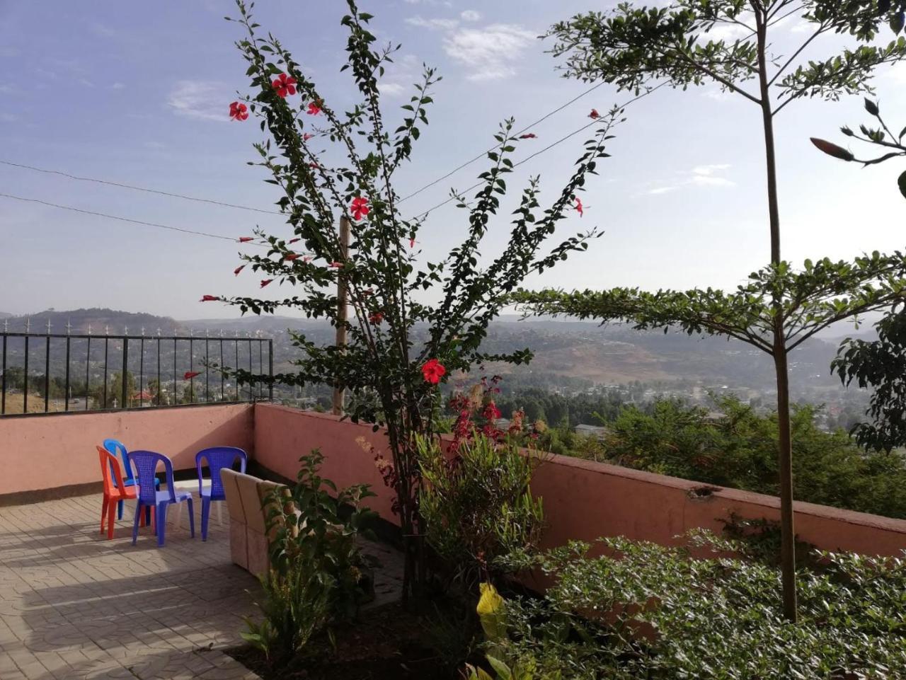 Hostel Gondar Backpackers Exteriér fotografie